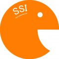 Socio-spatial Interaction (SSI)